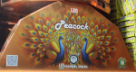Bada Peacock Multi Colour