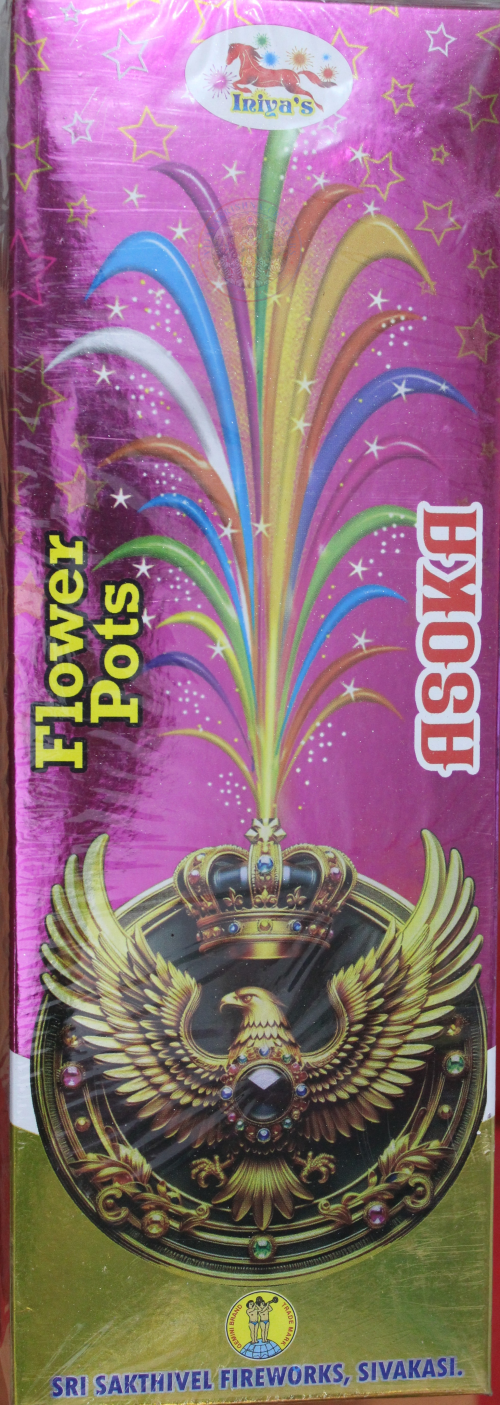 Flower Pots  Asoka